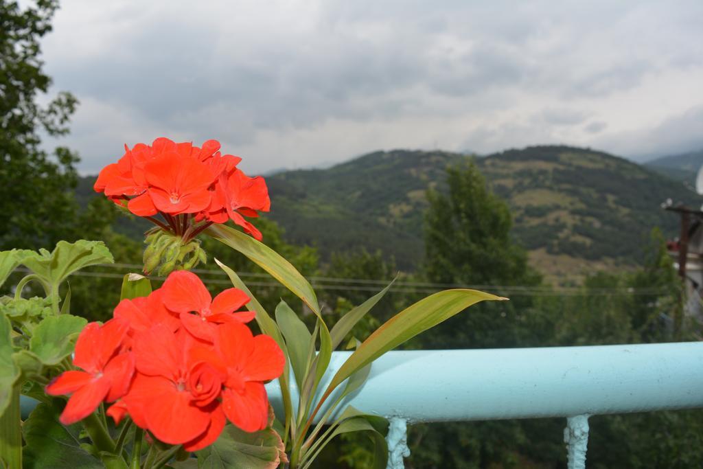 Sweet Home Dilijan Exterior foto